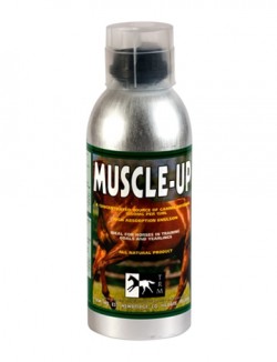 MUSCLE UP 1LT