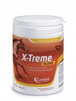 X-treme Blood 600gr