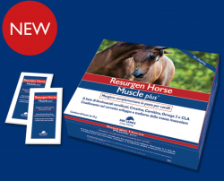 REsurgen Horse Muscle plus buste