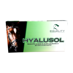 HYALUSOL 10 FL AEROSOL