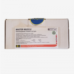 Master Muscle 90 buste